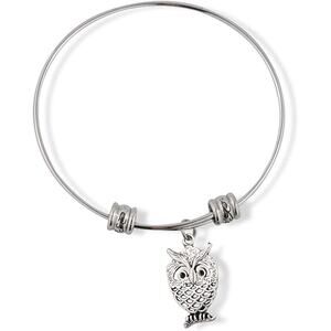 Owl Bird Charm Bangle Bracelet Jewelry
